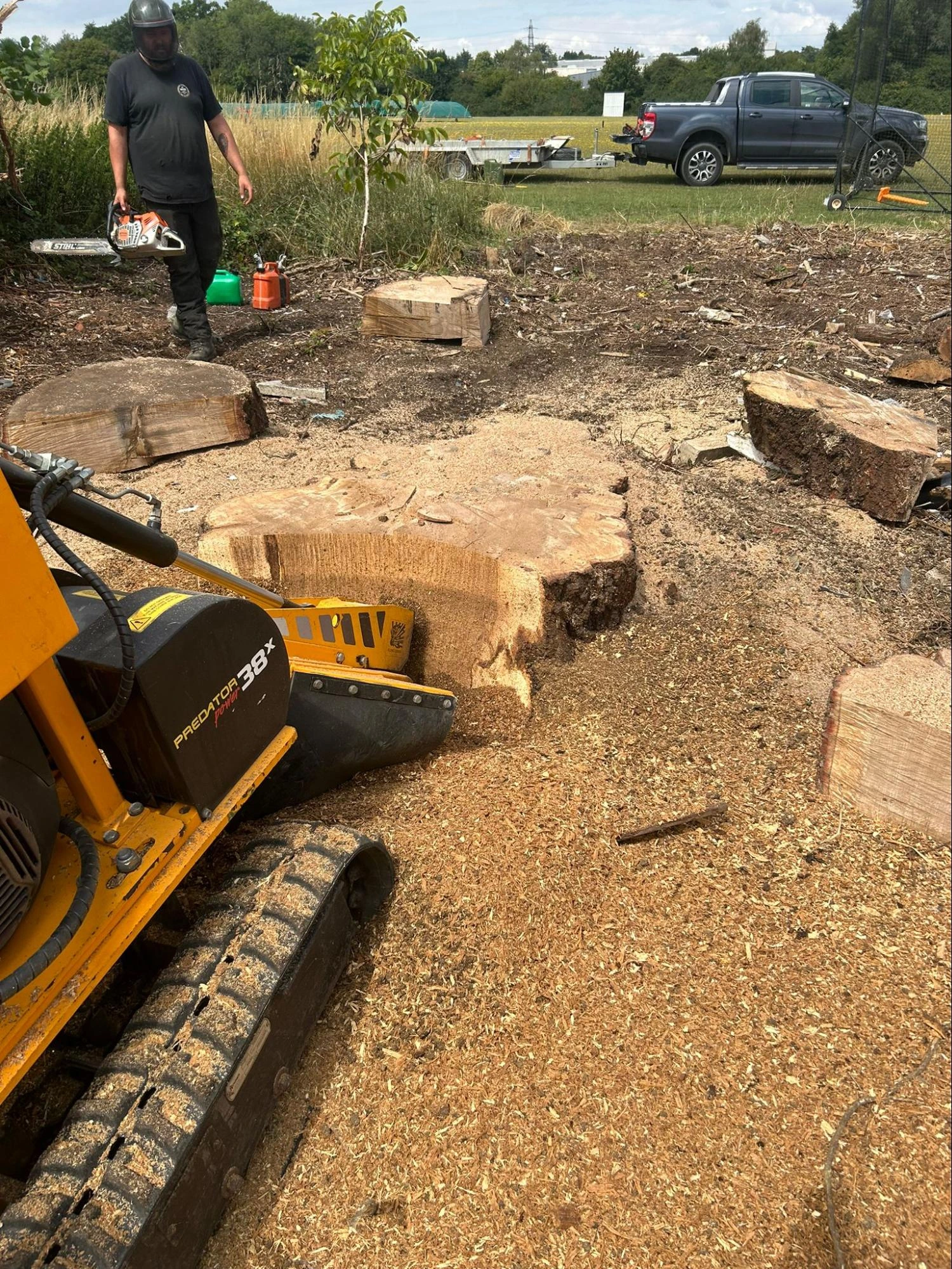 Stump Grinding Specialists Broxbourne